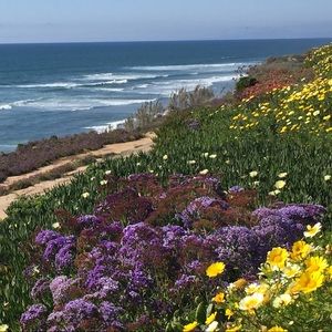 Meet your Posher, Heidi